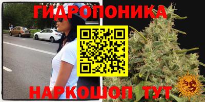 герыч Дмитров