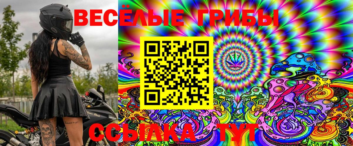 Волгоград  Псилоцибиновые грибы Psilocybine cubensis  Вход с VPN 