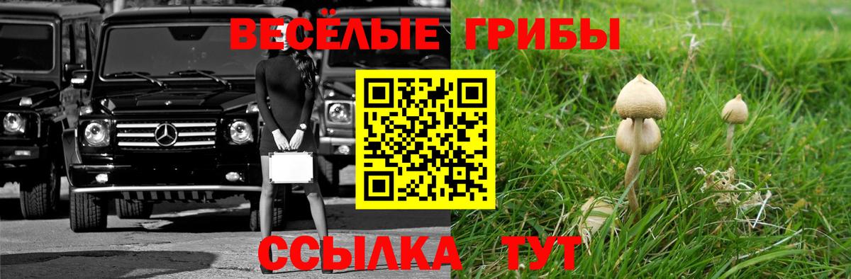Псилоцибиновые грибы MAGIC MUSHROOMS Волгоград